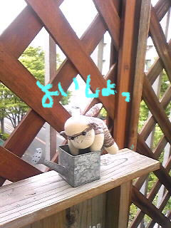 お外
