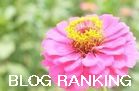 人気ブログランキングへ