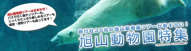 ���R�������c�A�[