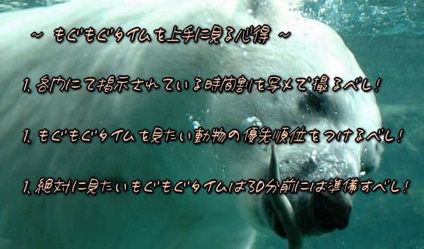もぐもぐタイム