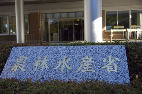 http://livedoor.2.blogimg.jp/bukkaretv/imgs/e/9/e91fd294.jpg