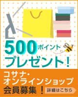 �����ʥ���饤�󥷥�å�500�ݥ���ȥץ쥼�����