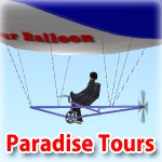 Paradise Tours