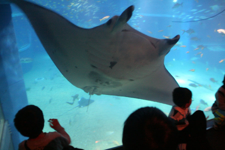 http://www.489.jp/rwrs/photo/333/18973.jpg
