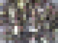 aa1