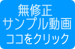 無料動画サンプル見放題！