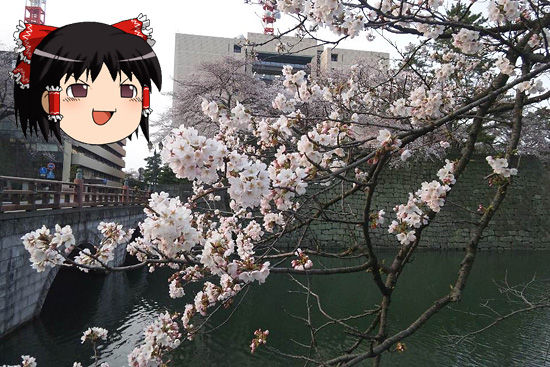 駅前桜