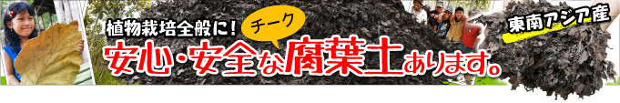 チーク腐葉土