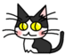 ブログアフィリエイト,日記