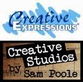 CreativeExpressions & Sam Pool ͢���������