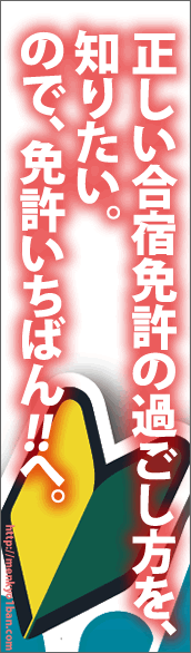 正しい合宿免許の過ごし方を知りたい