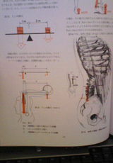 cd9d3643.jpg