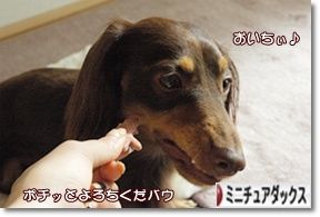¤Ë¤Û¤ó¥Ö¥í¥°Â¼ ¸¤¥Ö¥í¥° ¥ß¥Ë¥Á¥å¥¢¥À¥Ã¥¯¥¹¥Õ¥ó¥É¤Ø