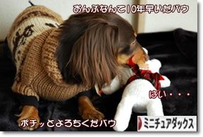 ¤Ë¤Û¤ó¥Ö¥í¥°Â¼ ¸¤¥Ö¥í¥° ¥ß¥Ë¥Á¥å¥¢¥À¥Ã¥¯¥¹¥Õ¥ó¥É¤Ø