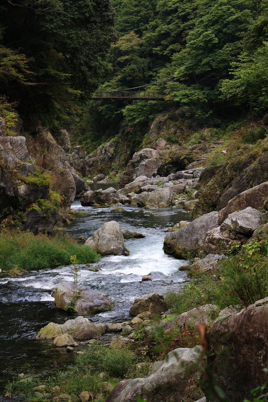 åï¿½ï¿½åï¿½ï¿½ の掲示板投稿写真＆画像