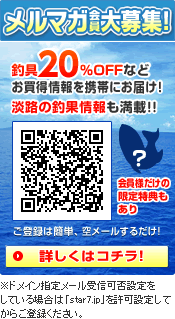 ���ӥ��ޥ�������罸���ܤ����ϥ�����