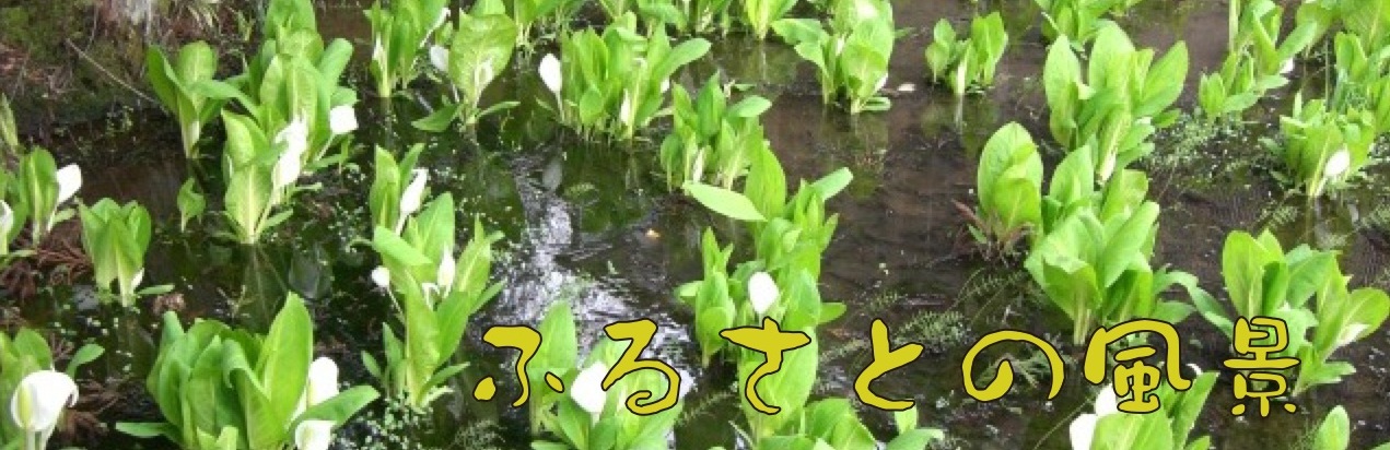 դ뤵Ȥ