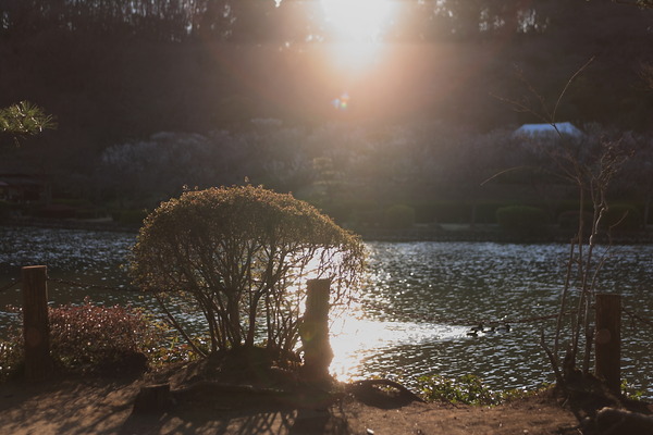 28-70mm F2.8 L USM