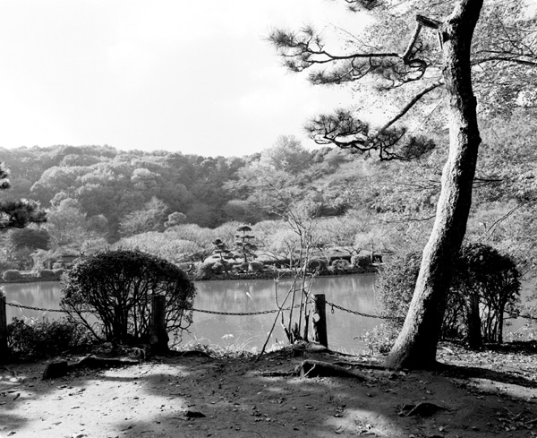 「池之端」(2008/11) SMC TAKUMAR&nbsp; 55mm F3.5 NEOPAN400 PRESTO KODAK T-MAX developer