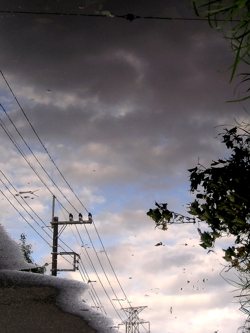 PICT0577