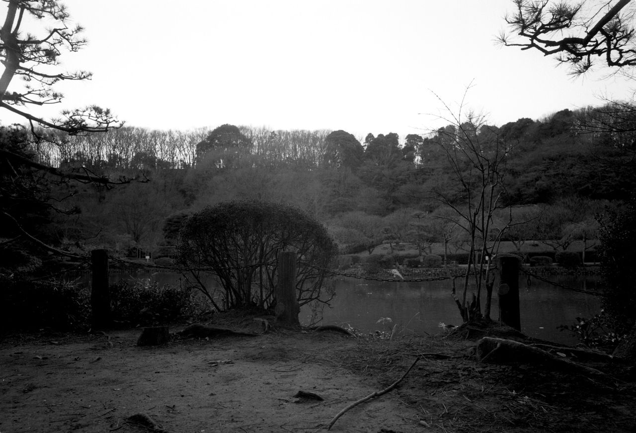 「池之端 MAMIYA PRESS 65mm」(2008/12)