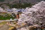 ¤Ϥ륭120
