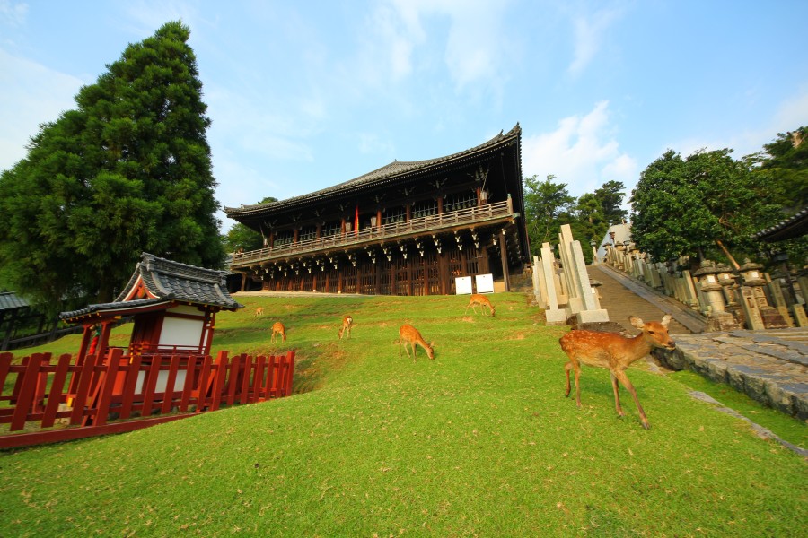 歴史の雰囲気も合わせて楽しめる・・・奈良公園周辺の桜名所 | おにぎりまとめ