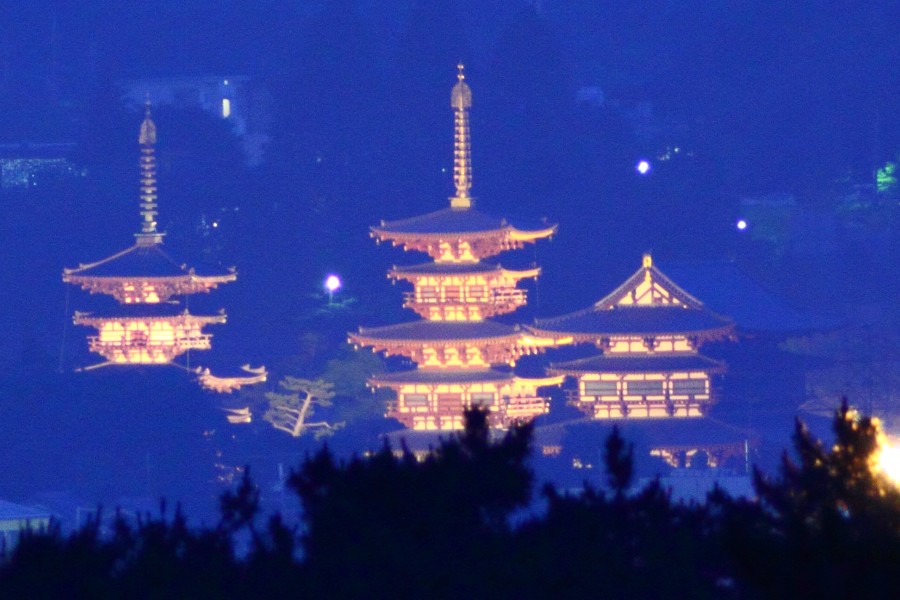 薬師寺ライトアップ遠望 : jp3pzd's photo diary