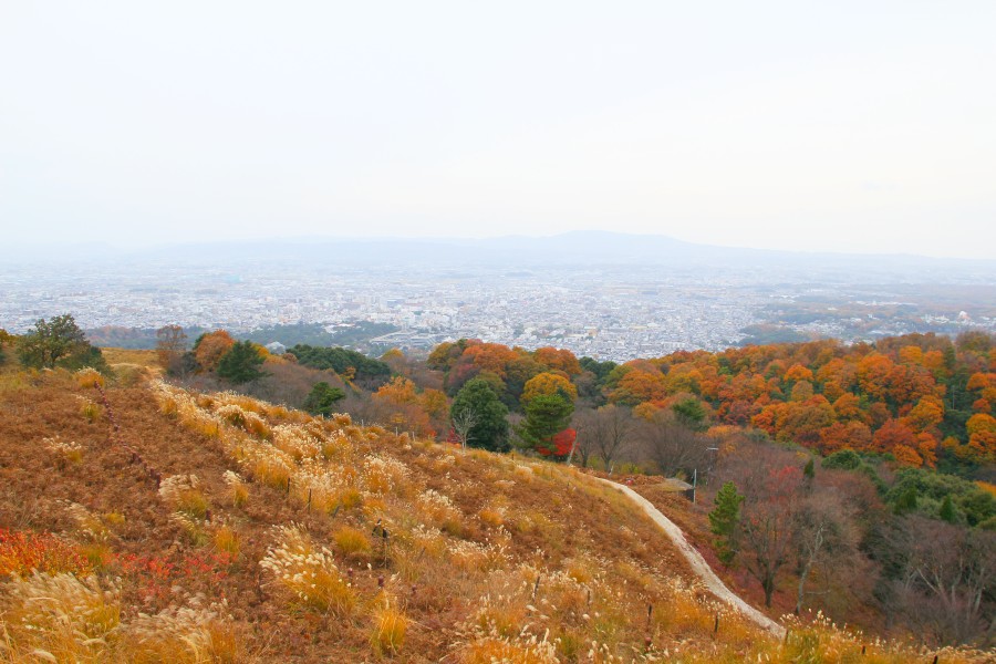 紅葉見頃過ぎ 若草山山頂 Jp3pzd S Photo Diary