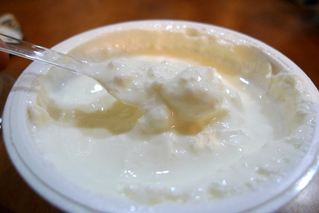 中国・上海で老青海酸奶（中国 青海省のプレーンヨーグルト）を食す！