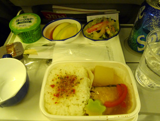 �����������󥬥ݡ����ι  - ���ܹҶ���JAL035��