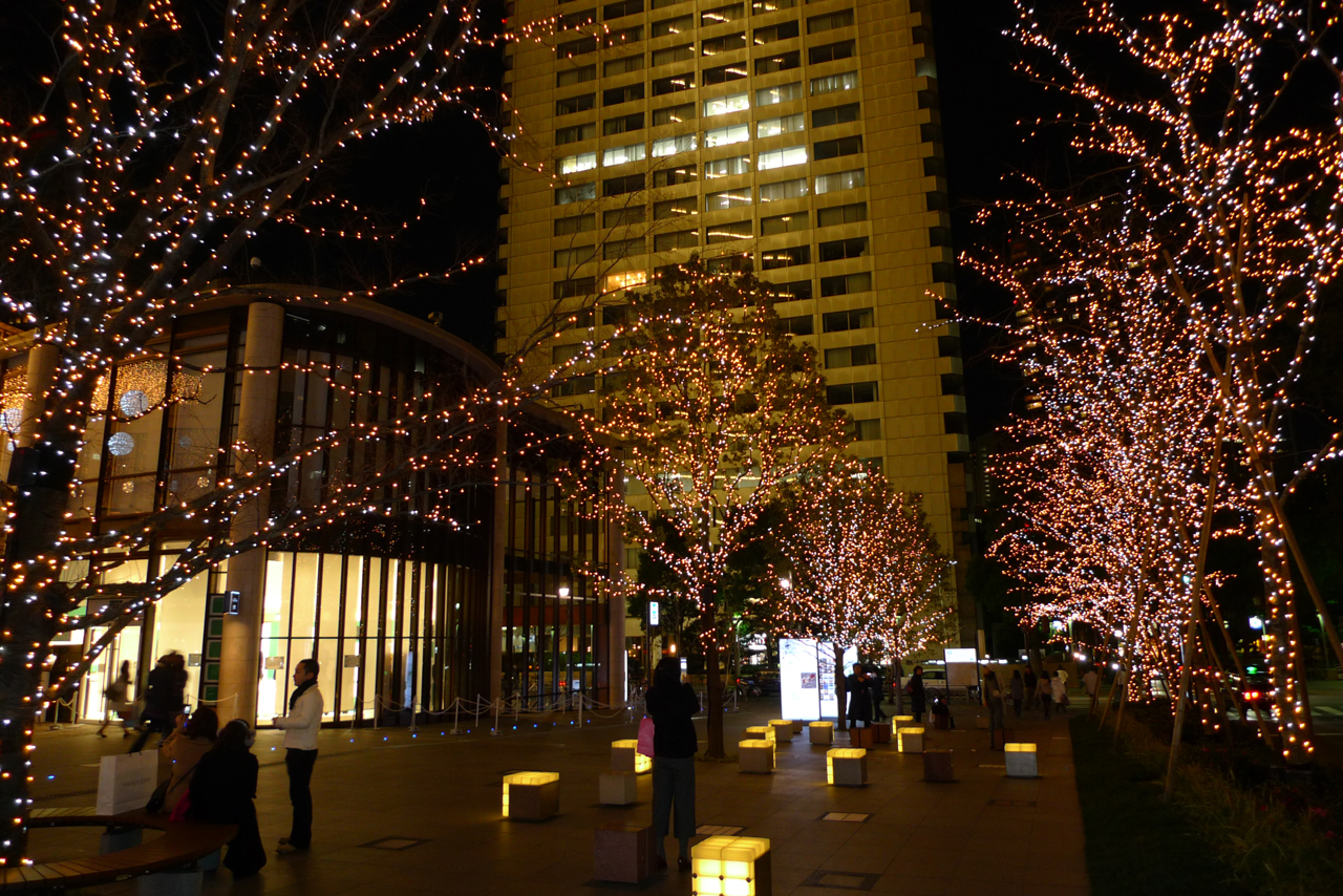 クリスマスイルミネーション 赤坂サカス 菊さんの食い倒れ万遊記 うまいもの食べ歩きグルメ日記