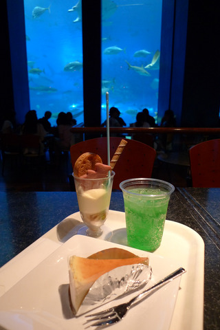 カフェ「オーシャンブルー」Cafe Ocean Blue ＠美ら海水族館