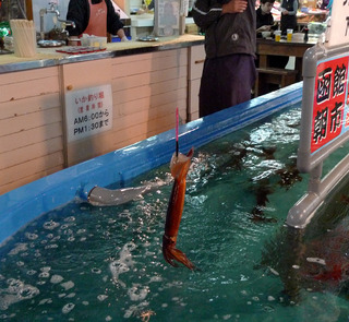 函館朝市駅二商業協同組合「えきに市場」のいか釣堀でイカを釣る　＠函館