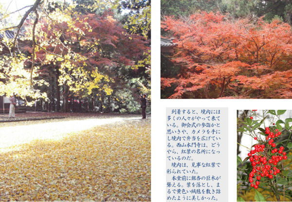 日蓮 曼荼羅御本尊 日順上人 富士門流 重須本門寺 西山本門寺 附