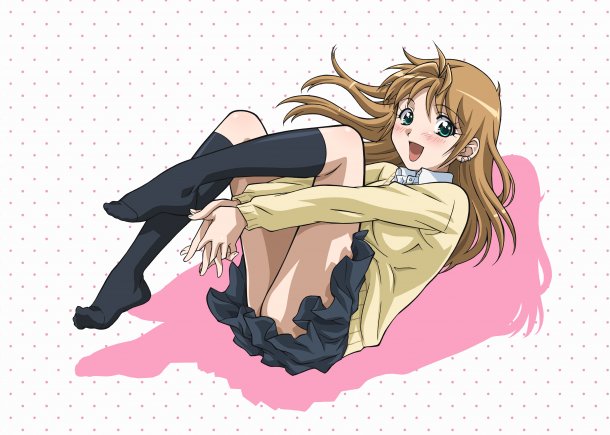 田村ゆかり おしえてa To Z プラモデルなブログ