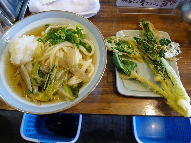 おにやんま 温山菜うどん 大根おろし 小松菜天 新橋ランチ日記