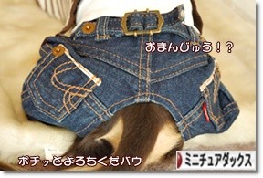 ¤Ë¤Û¤ó¥Ö¥í¥°Â¼ ¸¤¥Ö¥í¥° ¥ß¥Ë¥Á¥å¥¢¥À¥Ã¥¯¥¹¥Õ¥ó¥É¤Ø