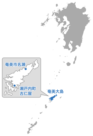 奄美大島地図